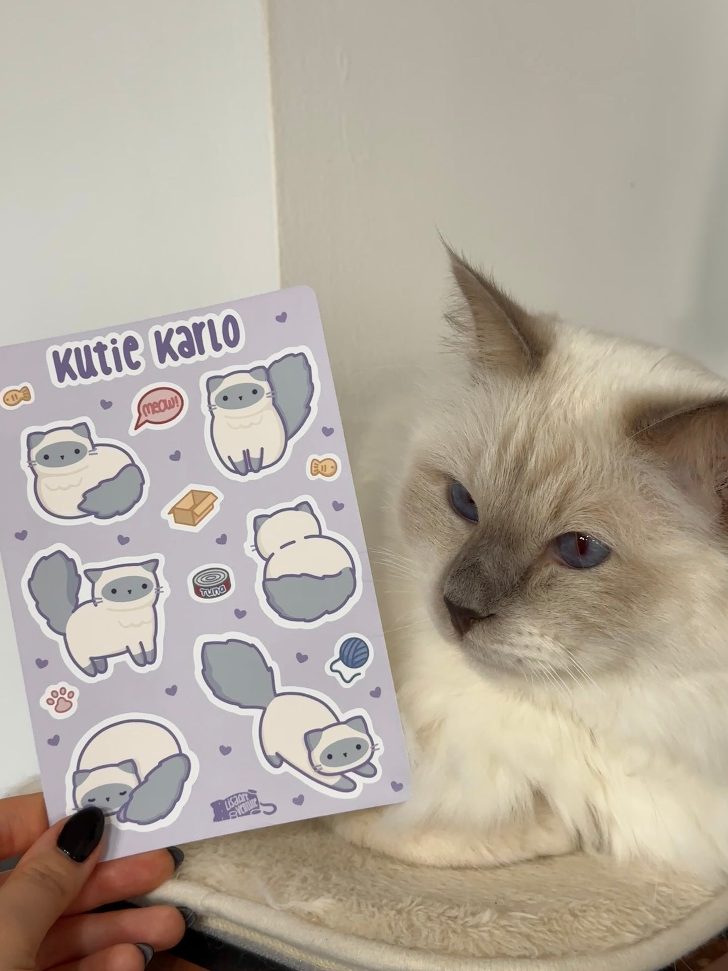 Kutie Karlo Cat Vinyl Sticker Sheet